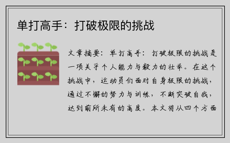 单打高手：打破极限的挑战