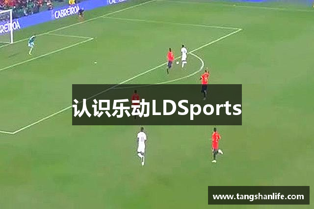 认识乐动LDSports